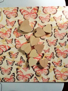 20160127_133108_8_bestshot (2)