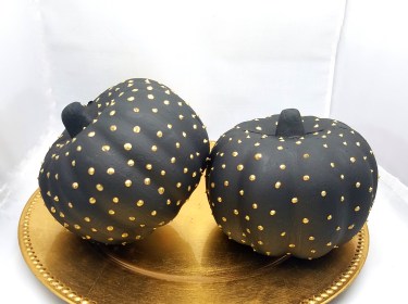 picture_20161030_141524437-2