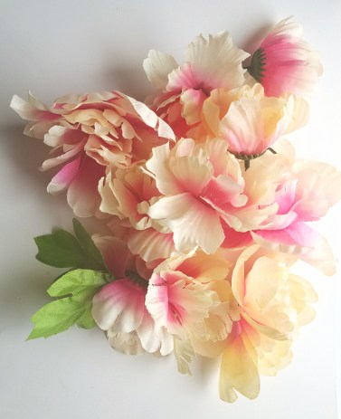 picture_20170112_142409702