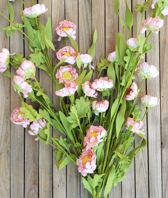 picture_20170215_163140754