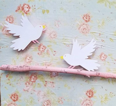 picture_20170221_100314325