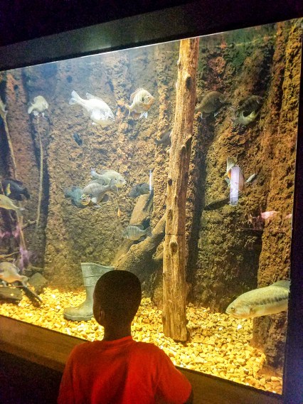 Picture_20170420_162924003_edited