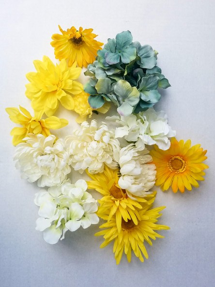 20170420_164233(0)_edited