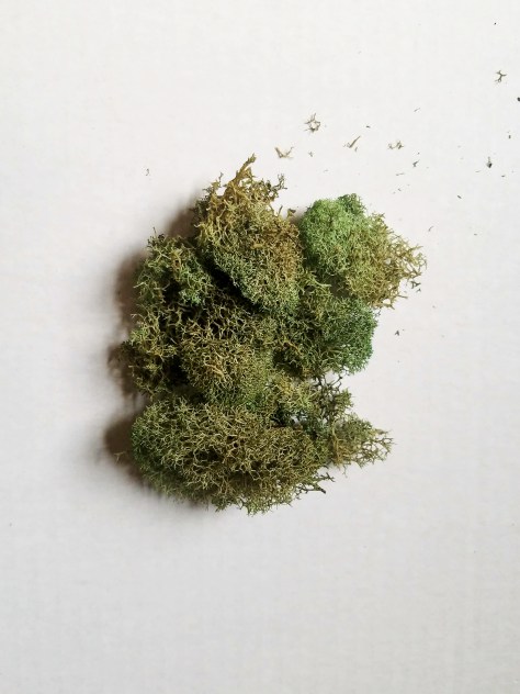 20170527_131700_edited