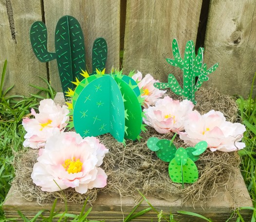 20170616_150745(0)_edited