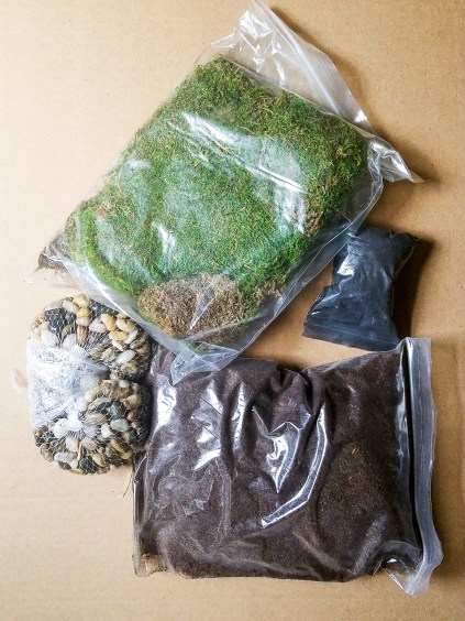 20170822_113011_edited