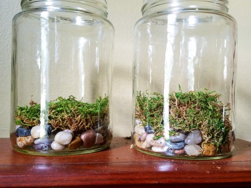 20170822_122536_edited