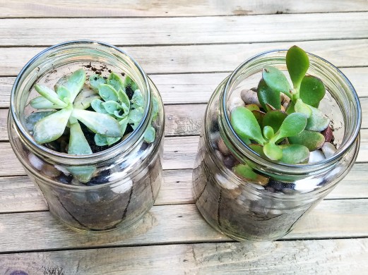 20170822_175809(0)_edited