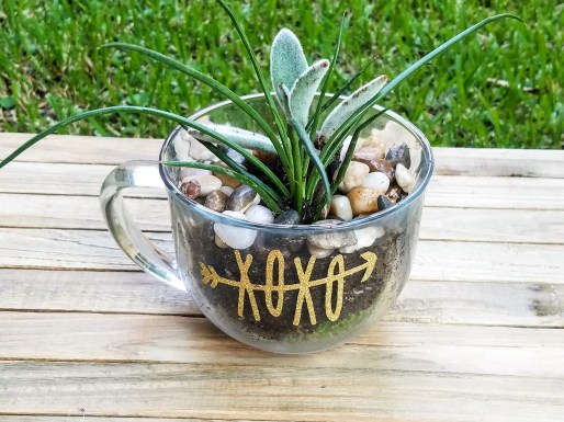 20170822_180014(0)_edited