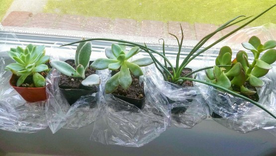 20170824_140831_edited