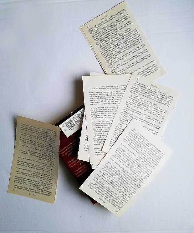 IMG_20180801_142306 copy